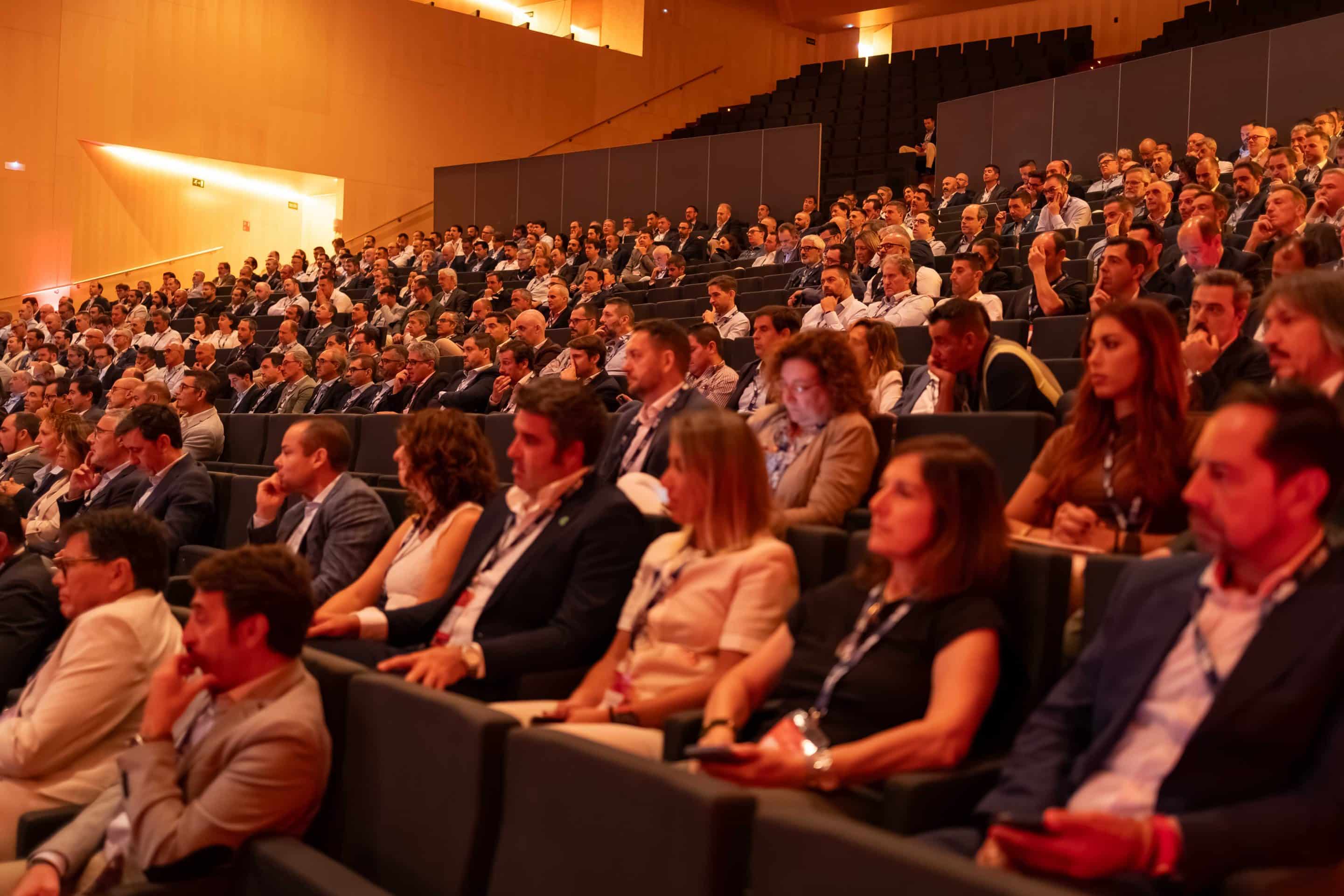 DSC03089 Ibis Iberia 2025